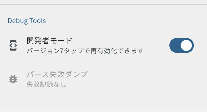 設定画面下半分 Debug Tools セクション（失敗記録なし）